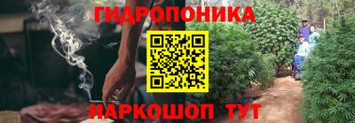 мет Гай
