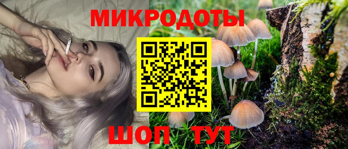 где купить   Псилоцибиновые грибы Cubensis  Вход с VPN  Нальчик  Псилоцибиновые грибы прущие грибы 