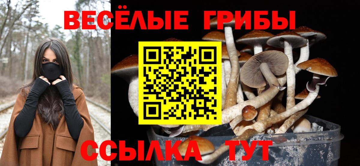 Галлюциногенные грибы MAGIC MUSHROOMS Нальчик